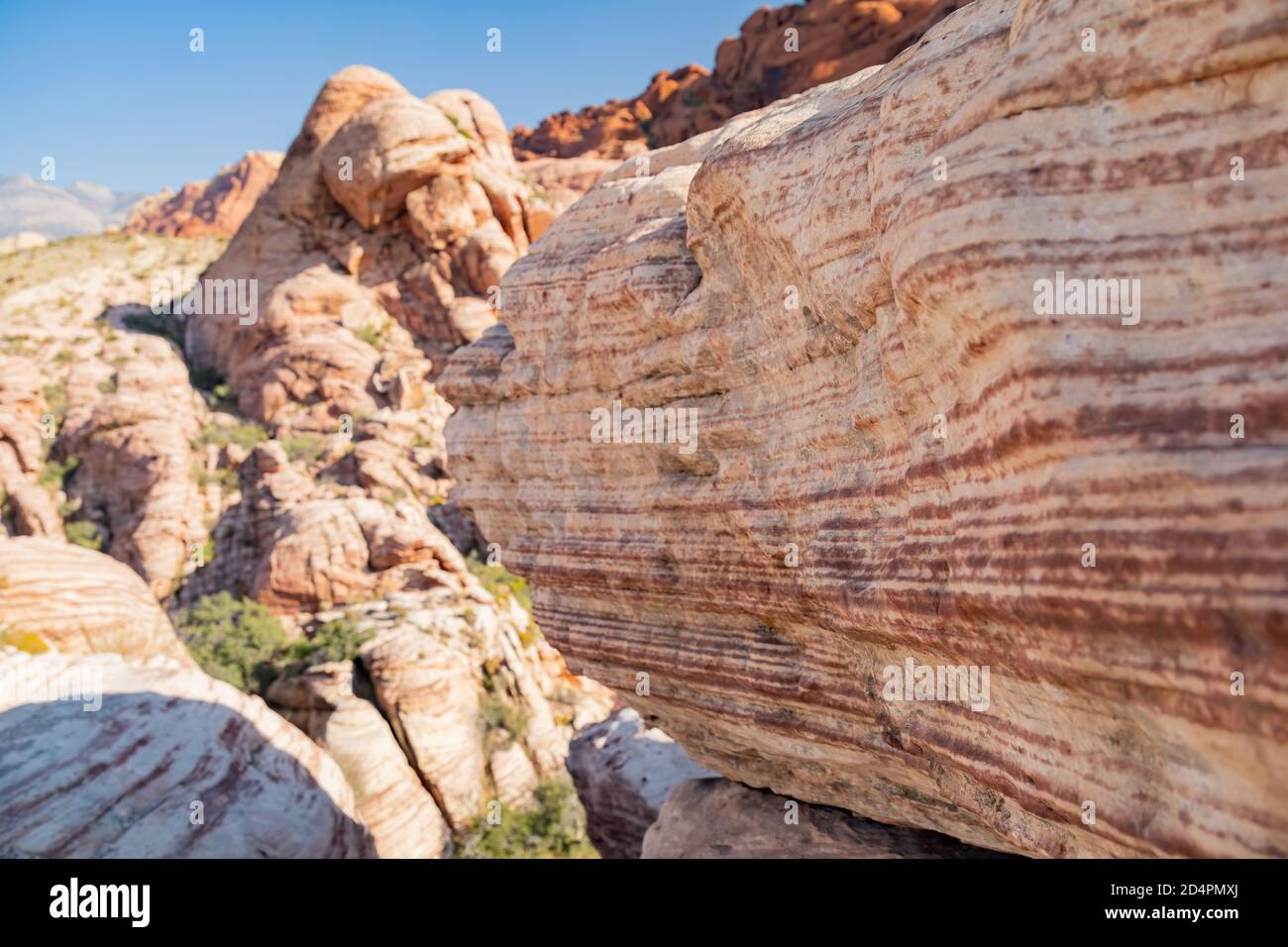 Sonniger Blick auf die Calico Hills des Red Rock Canyon National Conservation Area in Nevada Stockfoto