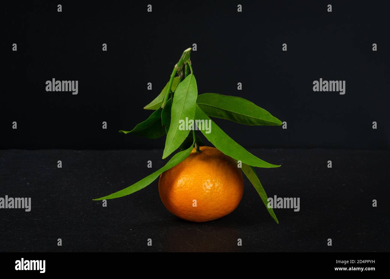 Nahaufnahme einer Mandarine mit grünen Blättern auf schwarz Hintergrund Stockfoto