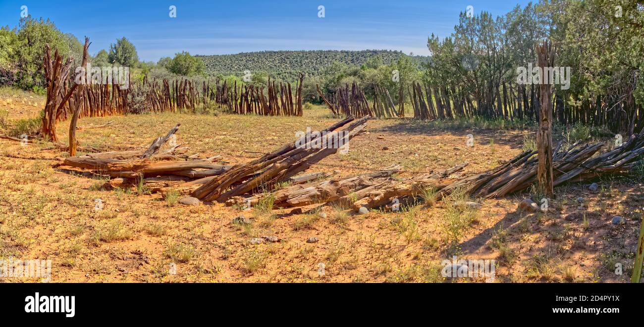 Ein kreisförmiger Corral, der Teil eines verlassenen Gehöfts im Bear Canyon nördlich des Zusammenflusses von Hell Canyon und Verde River war. Befindet sich in Stockfoto