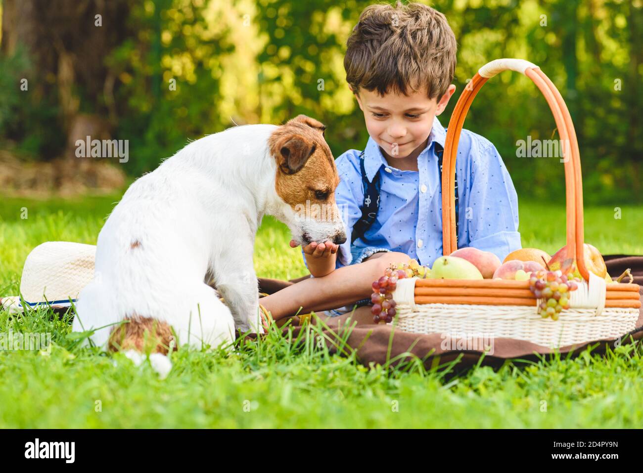 Happy Kid behandelt seinen dankbaren Hund mit frischem Obst während Picknick im Freien Stockfoto