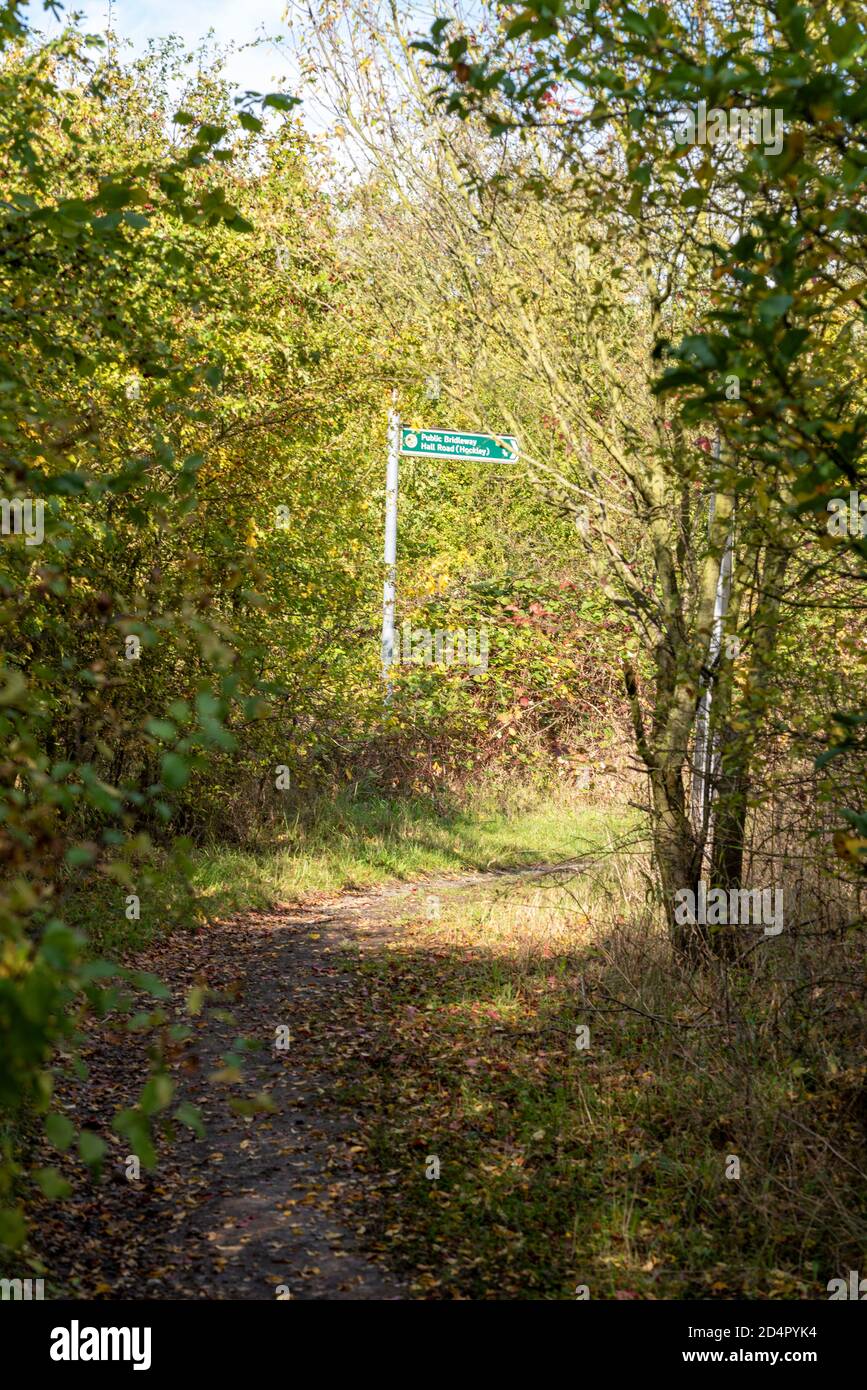 Von Bäumen gesäumter Brückenweg in Cherry Orchard Way, Rochford, Southend, Essex, Großbritannien. Öffentliche Brücke zur Hall Road, Hockley im Wald Stockfoto