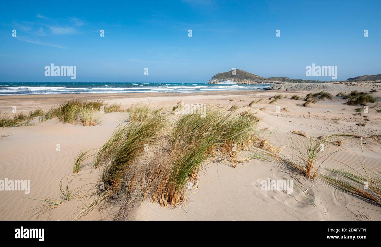 Sanddünen am Strand, Playa de Los Genoveses, Nationalpark Cabo de Gata-Nijar, Almería, Spanien, Europa Stockfoto