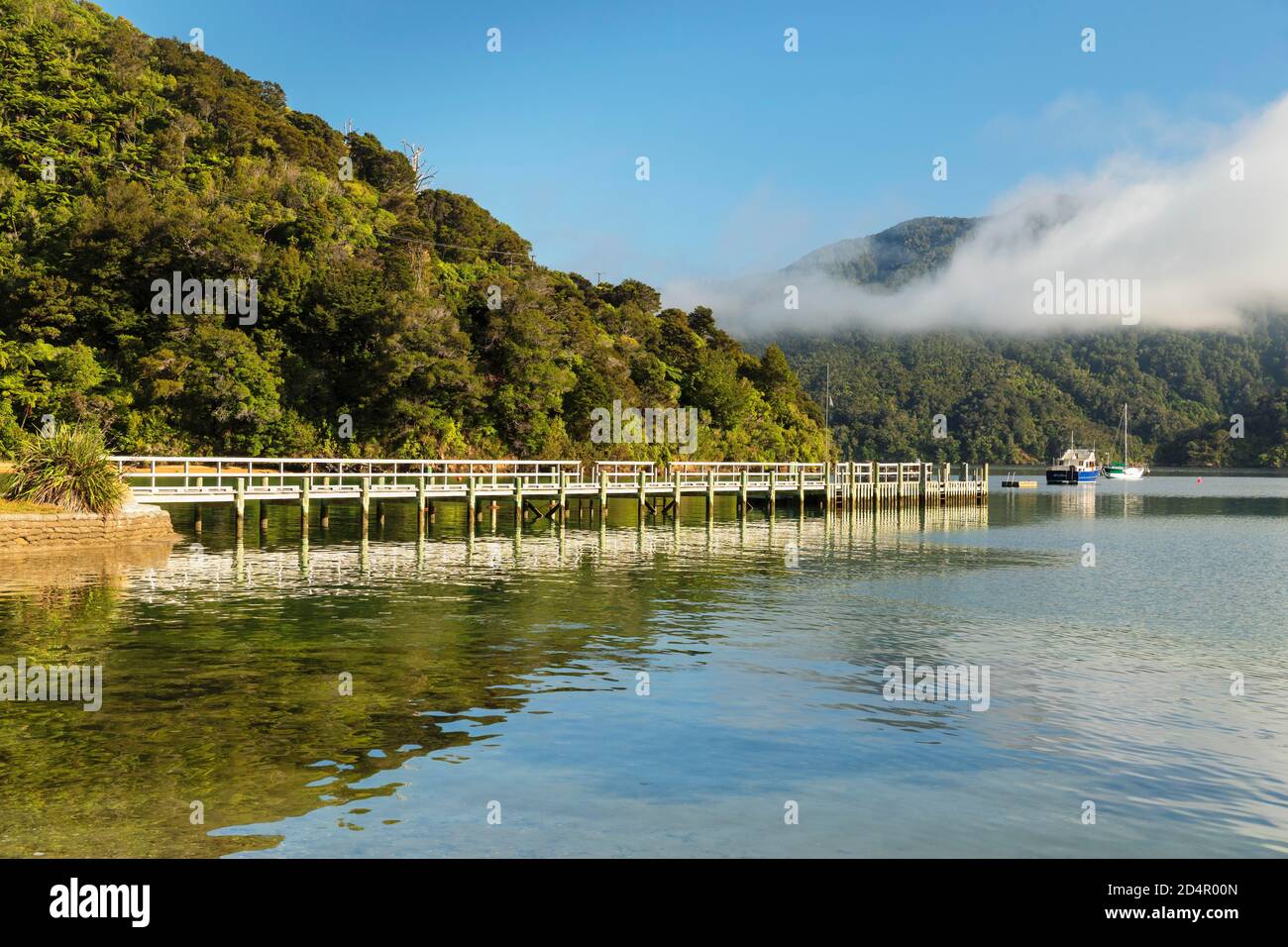 Ngakuta Bay, Marlborough Sounds, Picton, Südinsel, Neuseeland, Ozeanien Stockfoto