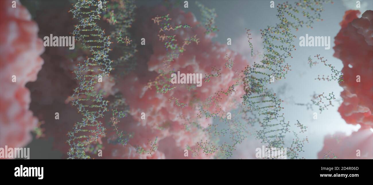 Die Welt in einer menschlichen Zelle. DNA-Stränge, Nukleotide (bilden