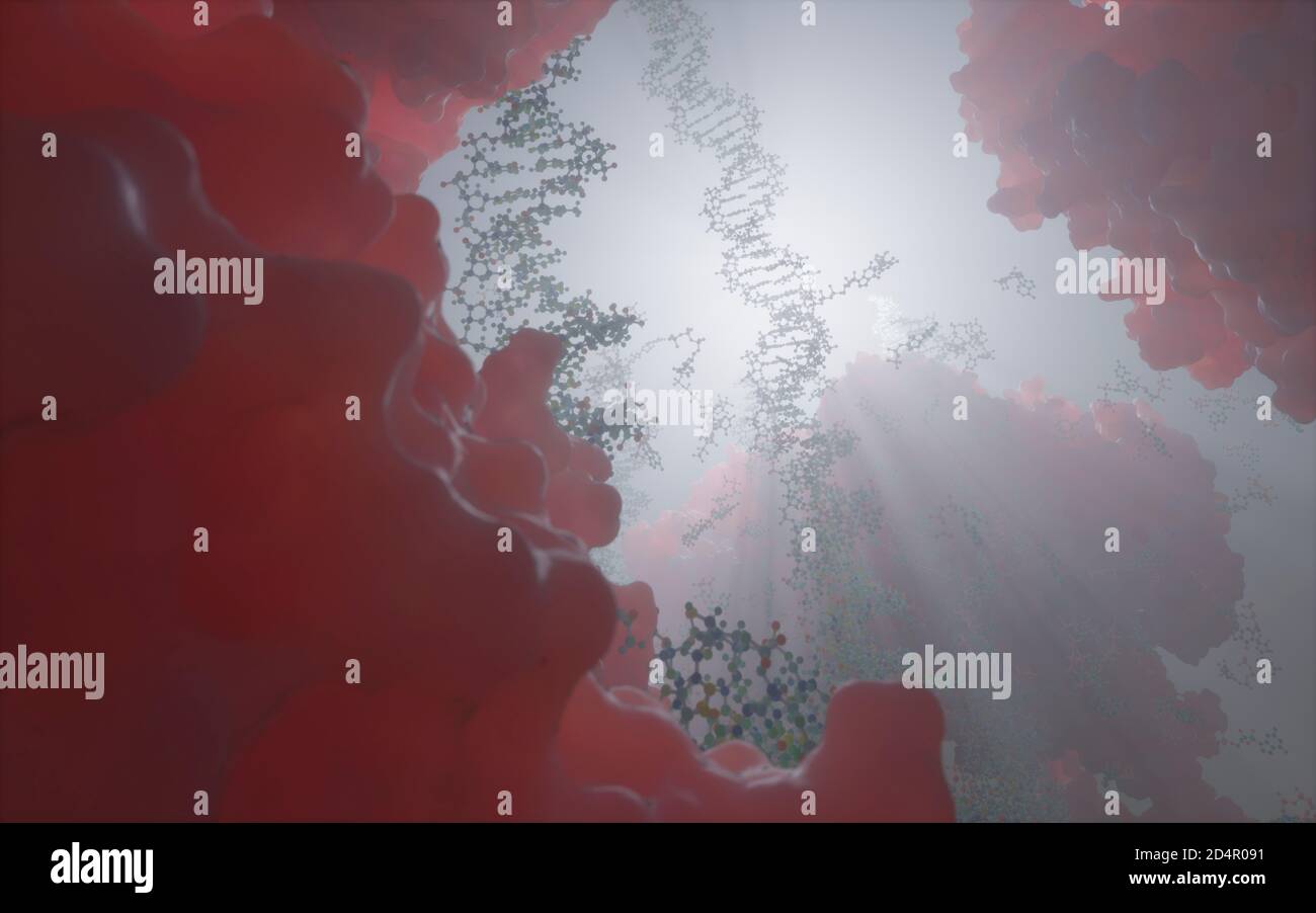 Die Welt in einer menschlichen Zelle. DNA-Stränge, Nukleotide (bilden Basenpaare in der DNA) und Proteine im Kern einer eukaryotischen Zelle. Stockfoto