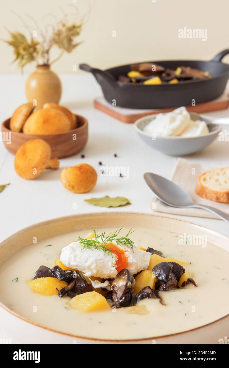 Dicke cremige Suppe mit frischen Waldpilzen, pochierten Eiern und Kartoffeln. Lieblingseason Pilz Mittag-oder Abendessen in der Tschechischen Republik. Stockfoto