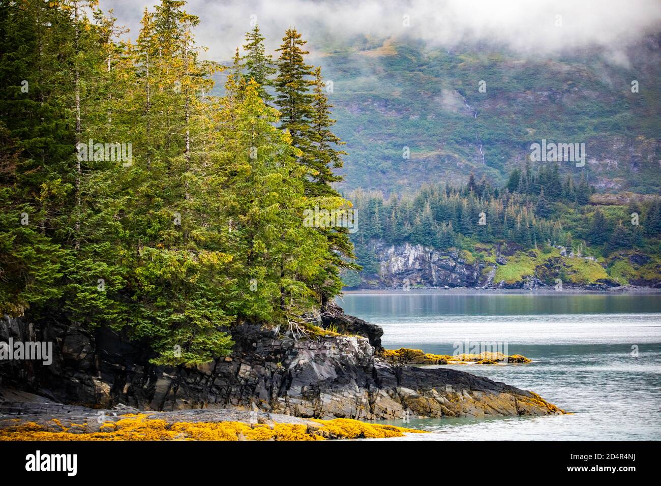 Landschaftlich schöne Aussicht auf die Küste des Golfs von Alaska im Herbst Bootstour in Whittier Stockfoto