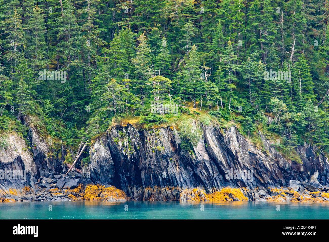 Landschaftlich schöne Aussicht auf die Küste des Golfs von Alaska im Herbst Bootstour in Whittier Stockfoto