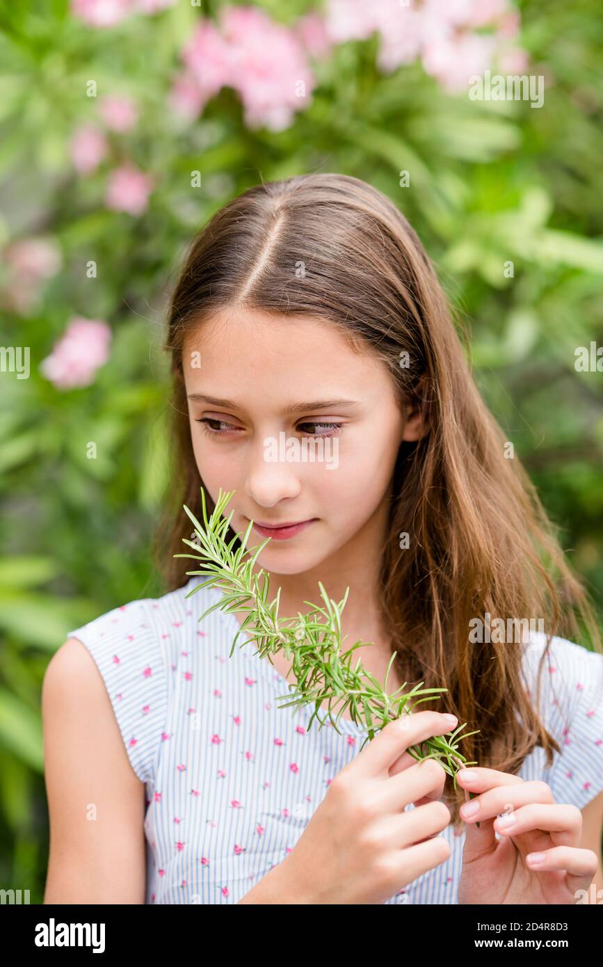 12-jähriges Mädchen, das Rosmarin riecht. Stockfoto