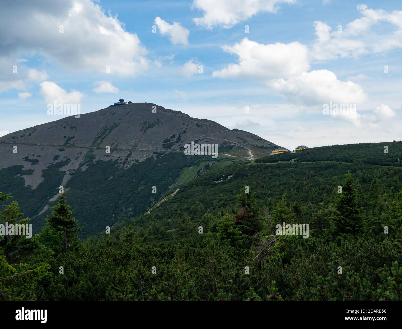 Karkonosze Berge, Wald an den Hängen der Berge. Sniezka oben im Hintergrund. Stockfoto