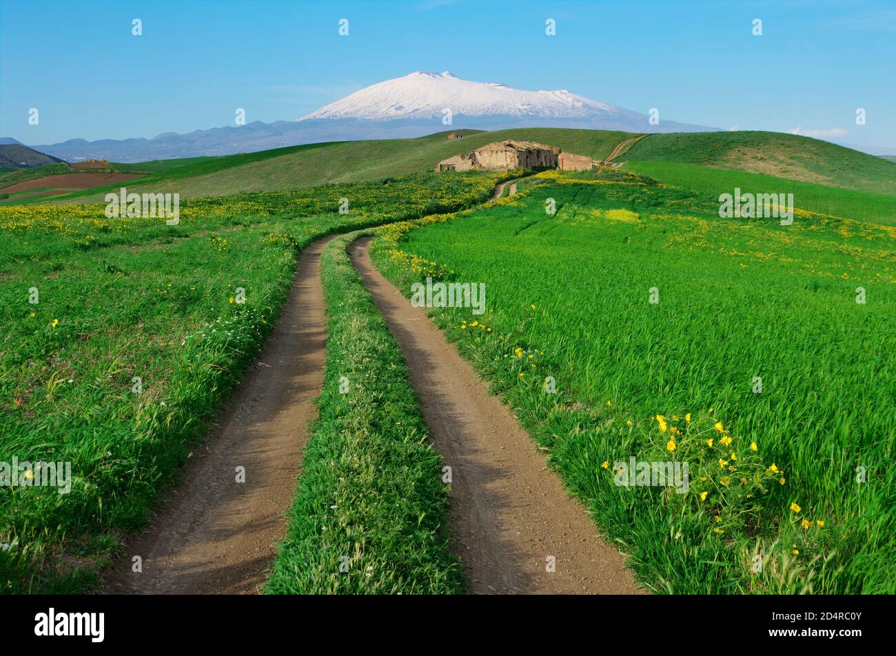 Ländliche Landschaft von Sizilien im Frühjahr mit langen und kurvenreichen Unbefestigte Straße reisen grünes Feld und verlassene Bauernhaus herum Ätna der schneebedeckte Berg Stockfoto