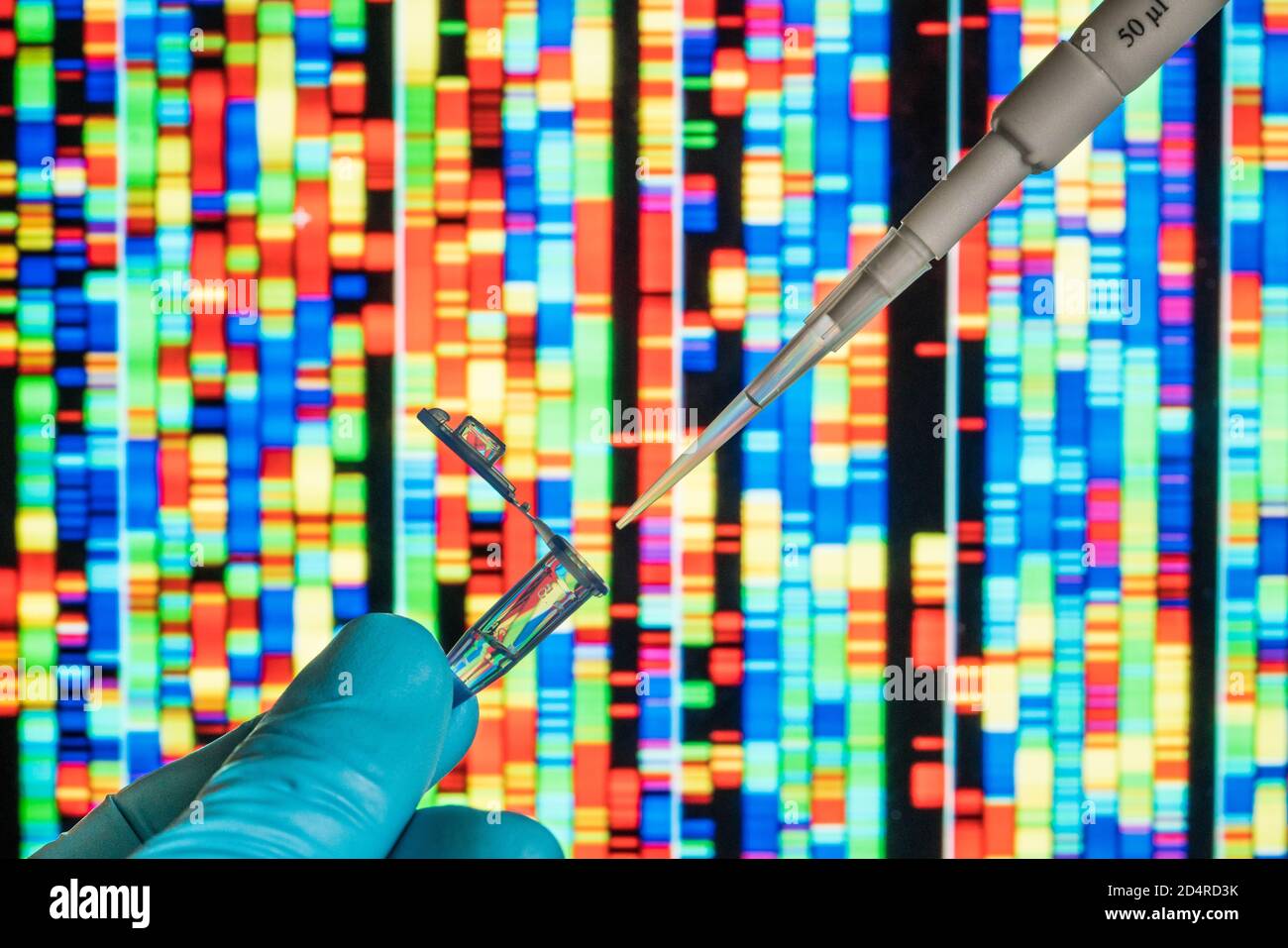 Genetische Forschung, Pipettieren in ein Reagenzglas vor einem DNA-Autoradiogramm (Deoxyribonukleinsäure). Stockfoto