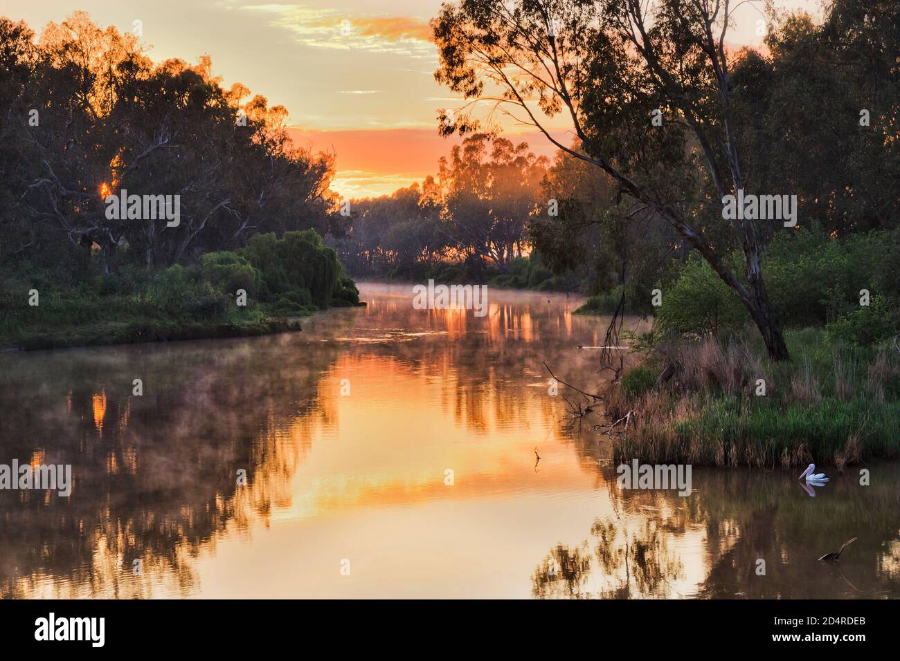 Malerischer, farbenfroher Sonnenaufgang über dem Macquarie River in Dubbo mit pelikan-Vögeln, die an der Oberfläche schwimmen. Stockfoto