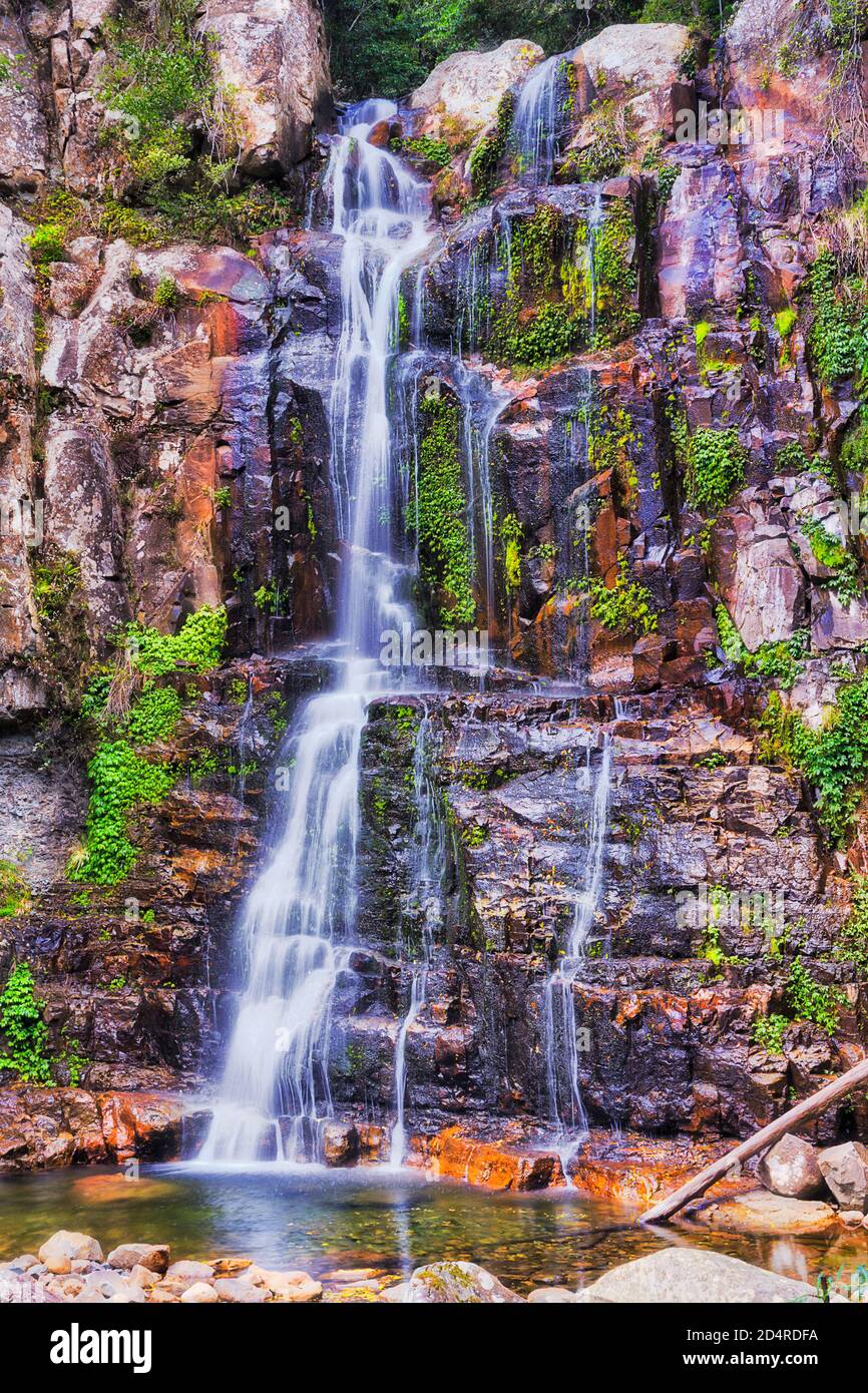 Vertikaler Minnamurra Wasserfall im Minnamurra Nationalpark Regenwald auf erodierten Felsen umgeben von immergreeen Vegetation und Pflanzen. Stockfoto