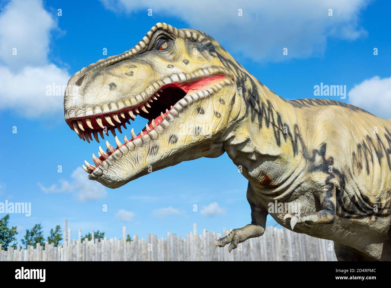 Tyrannosaurus Rex Dinosaur Model im Wingham Wildlife Park, Kent, England. Stockfoto