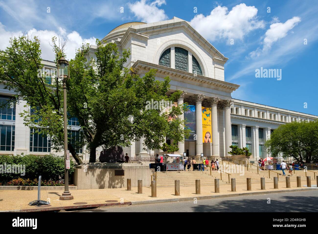 National Museum of Natural History in der National Mall in Washington D.C. Stockfoto