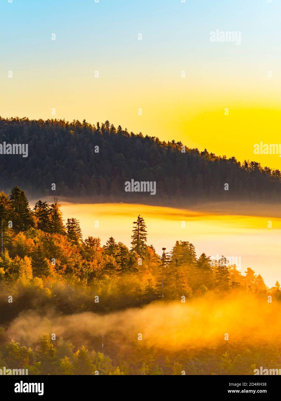 Spektakuläre verträumte dramatische Sonnenaufgang frühmorgens Dämmerung Momente mit Nebel In Gorski kotar County in Kroatien Europa in der Nähe von Mrzla vodica Stockfoto