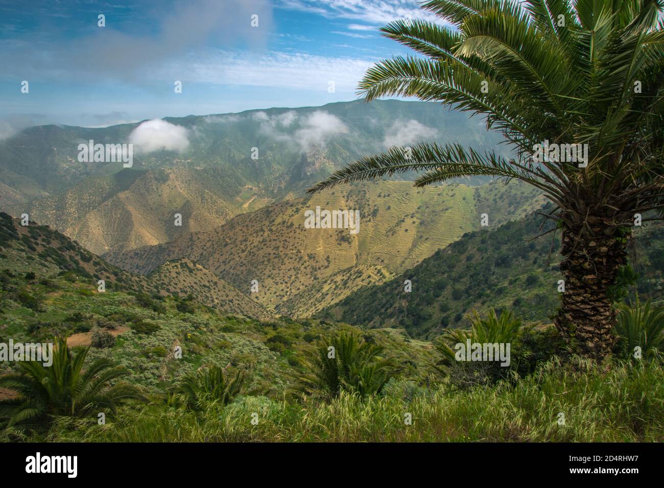 Panorama-Berglandschaft auf La Gomera, Spanien. Einsame Berglandschaft mit Palmen im Vordergrund. Dschungelartige Landschaft auf der kanarischen isla Stockfoto