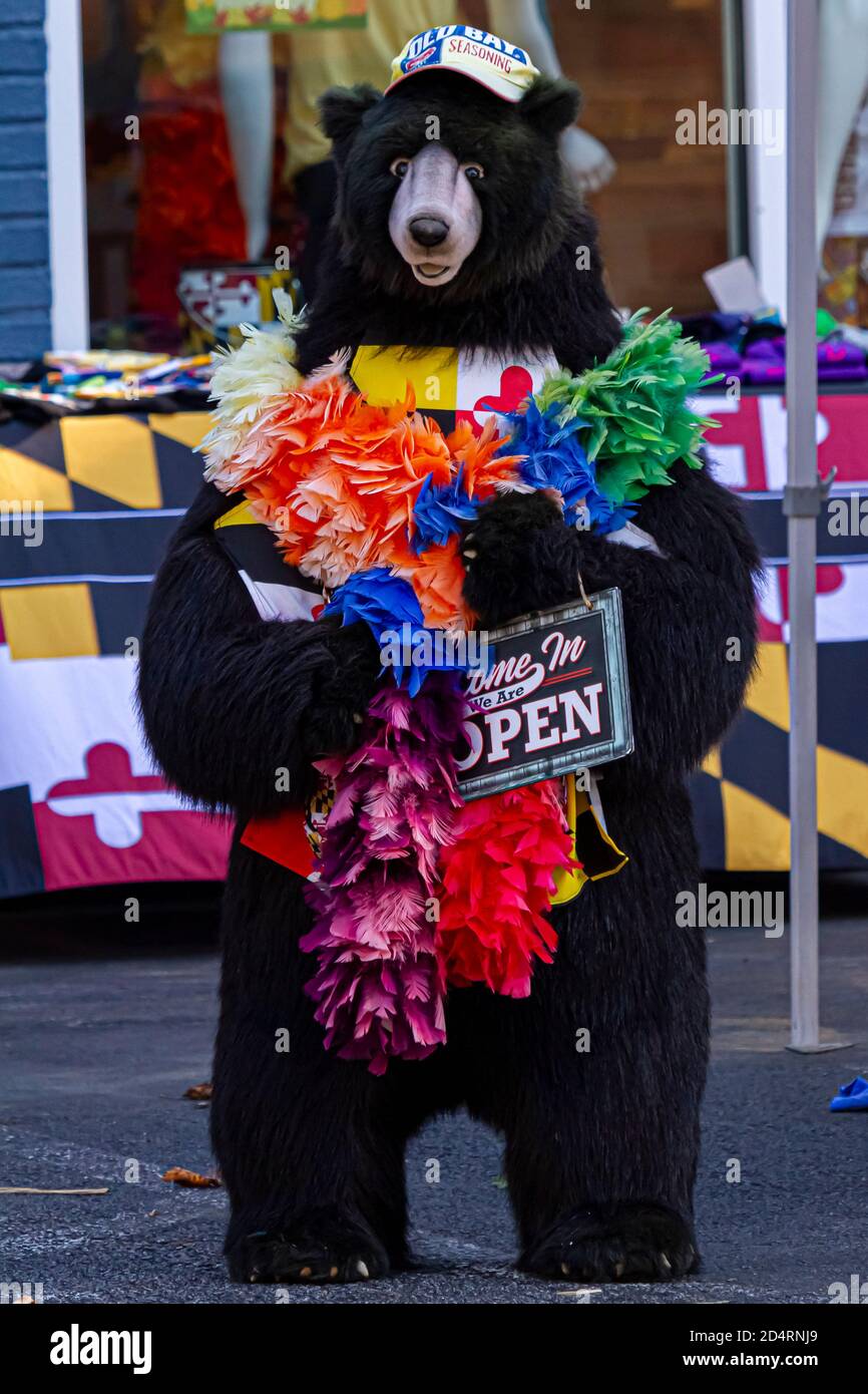 Ellicott City, MD, USA 10/07/2020: Ein großes schwarzes Bärenmaskottchen mit einem bunten Stola Schal und einem Baseballhut steht vor einem kleinen Unternehmen Stockfoto