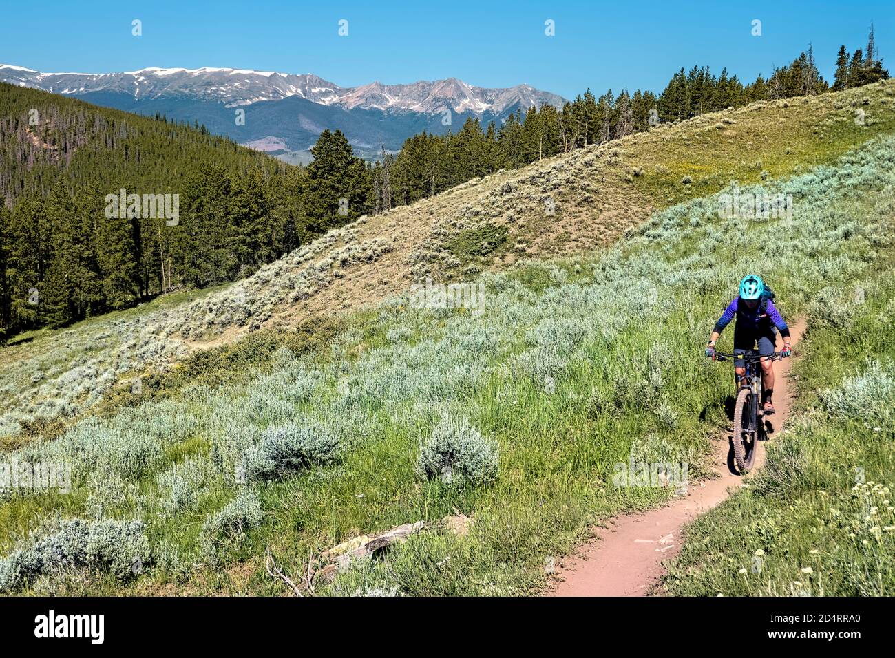 Mountainbiken auf dem langen Colorado Trail in der Nähe des Kokomo Pass, Colorado Stockfoto