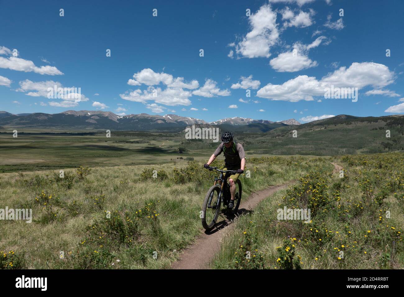 Mountainbiken auf dem langen Colorado Trail in der Nähe von Georgia Pass, Colorado Stockfoto