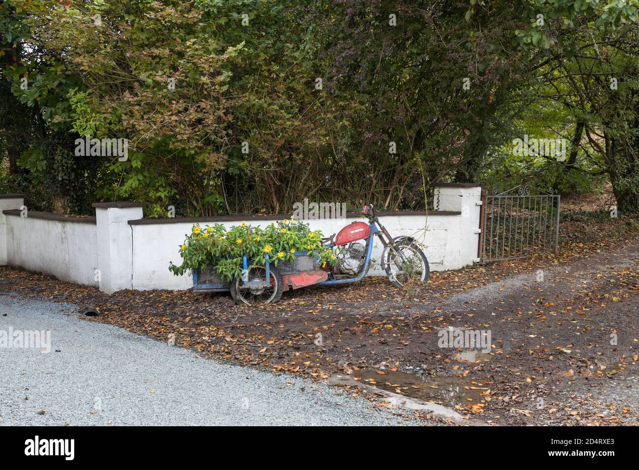 Coomhola, Cork, Irland. Oktober 2020. Ein altes Motorrad mit einem Flowler-Box angebracht, die als dekorative Kunst am Straßenrand in Coomhola verwendet wird Stockfoto