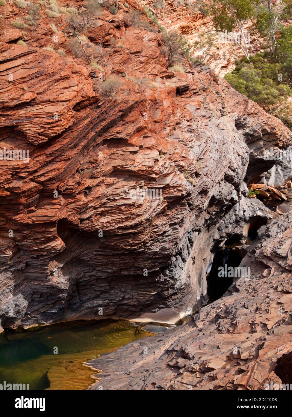 Rock Pool, Hamersley Gorge, Karijini National Park, Western Australia Stockfoto