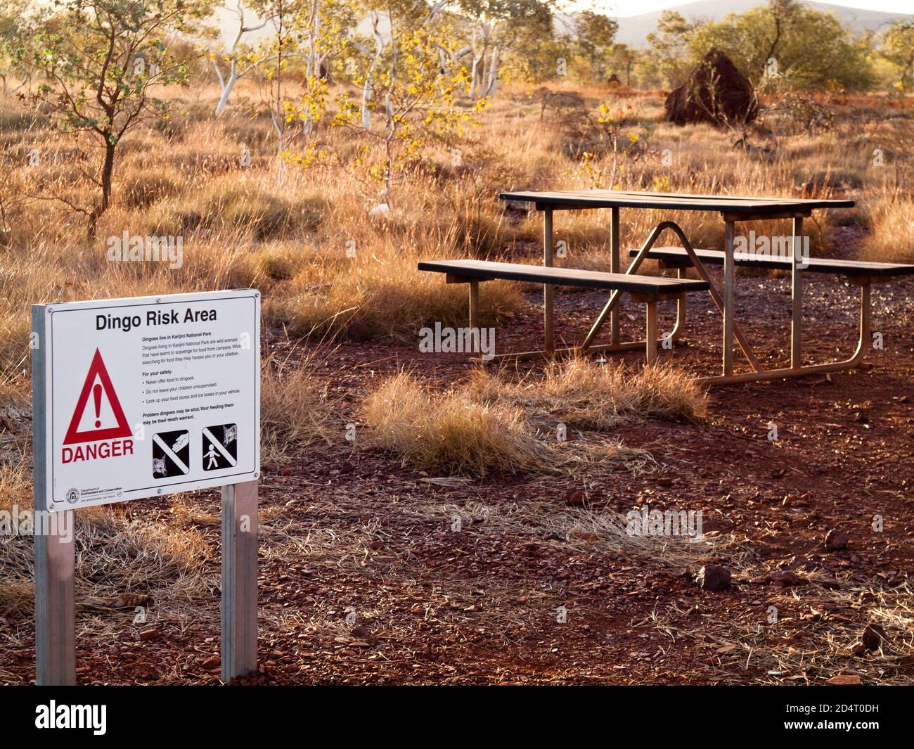 Dingos können im Dales Campground, Karijini National Park, Western Australia, ein Problem sein Stockfoto