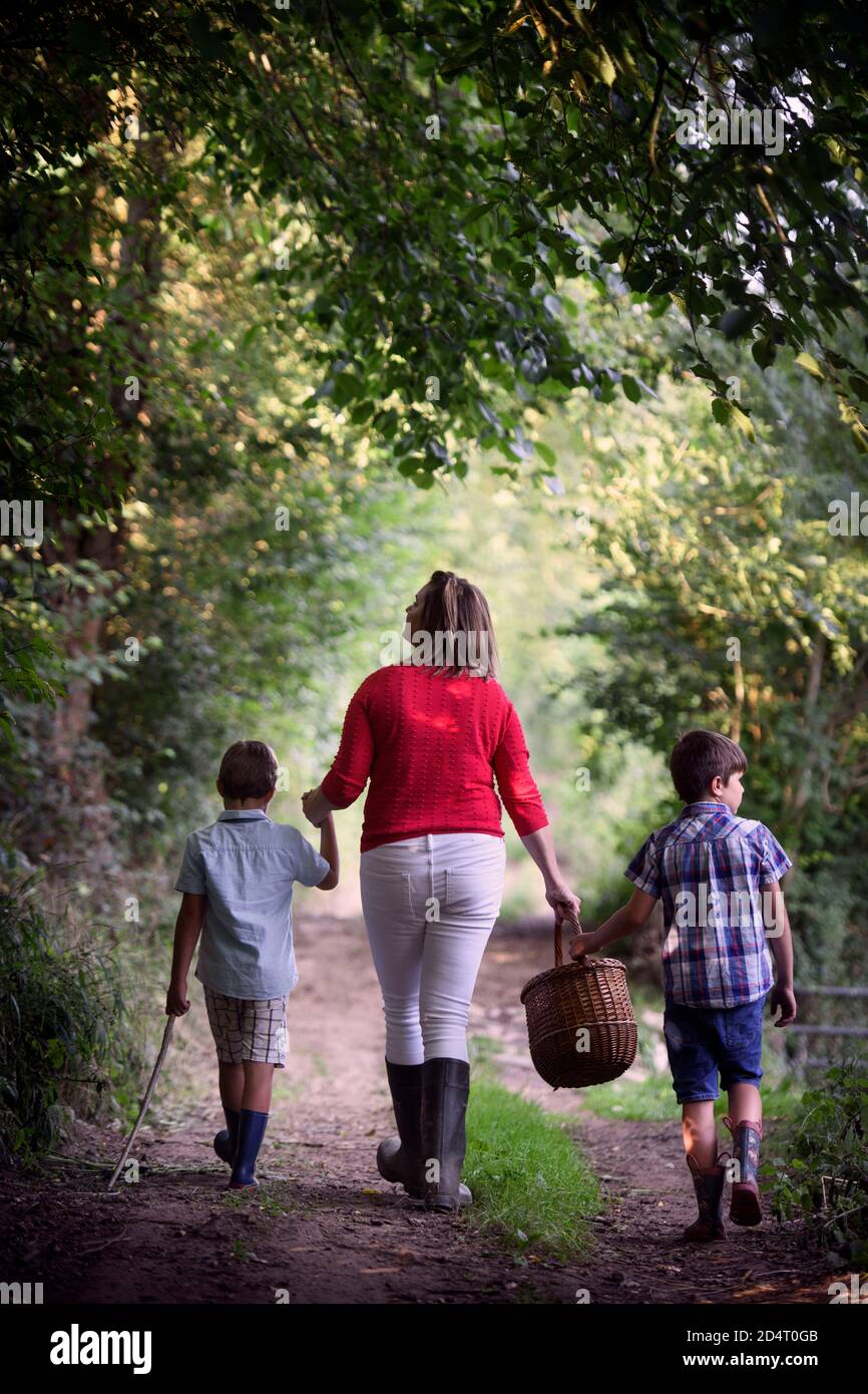 Eine Mutter mit ihren Söhnen, die in der Landschaft von Gloucestershire, Großbritannien, Brombeerpflücken gehen Stockfoto