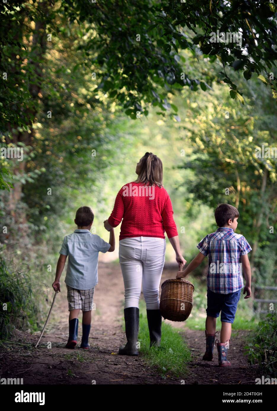 Eine Mutter mit ihren Söhnen, die in der Landschaft von Gloucestershire, Großbritannien, Brombeerpflücken gehen Stockfoto
