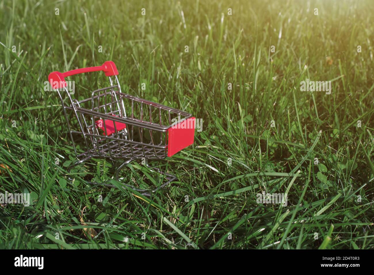 Mini-Einkaufswagen oder Trolley vor natürlichem grünem Hintergrund mit Sonnenlicht. Gesunde Ernährung für ausgewogene Flexitarian mittelmeer-Diät-Konzept Stockfoto