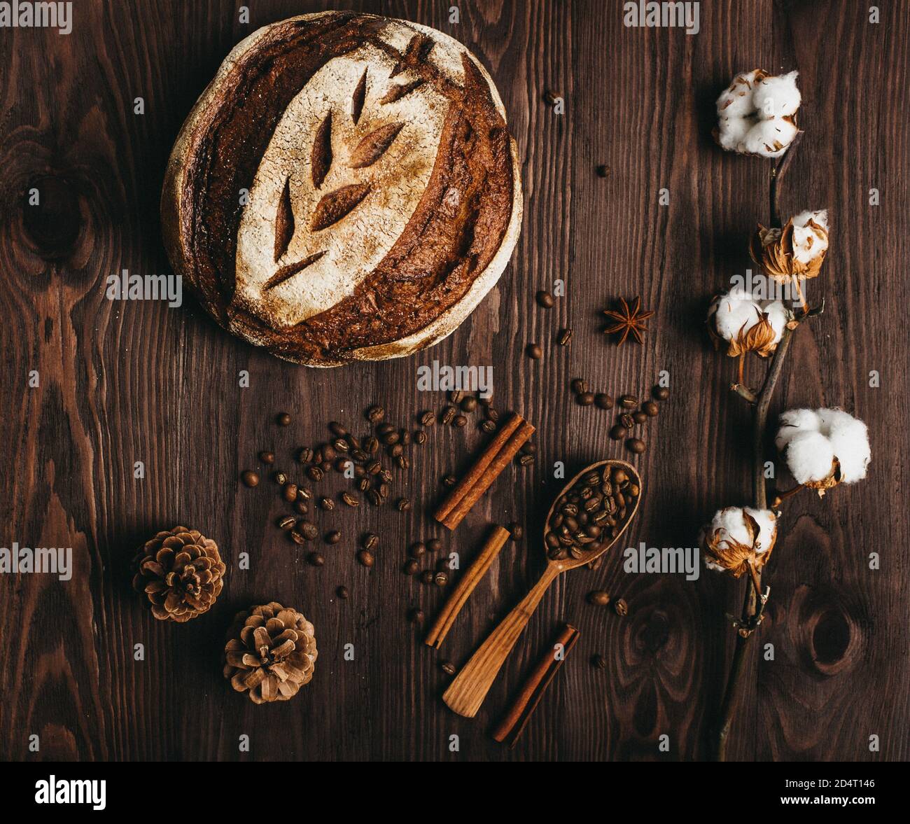 Draufsicht auf hausgemachtes Brot, Kaffeebohnen und einen Zweig aus Watte auf einem Holztisch liegen. Stockfoto