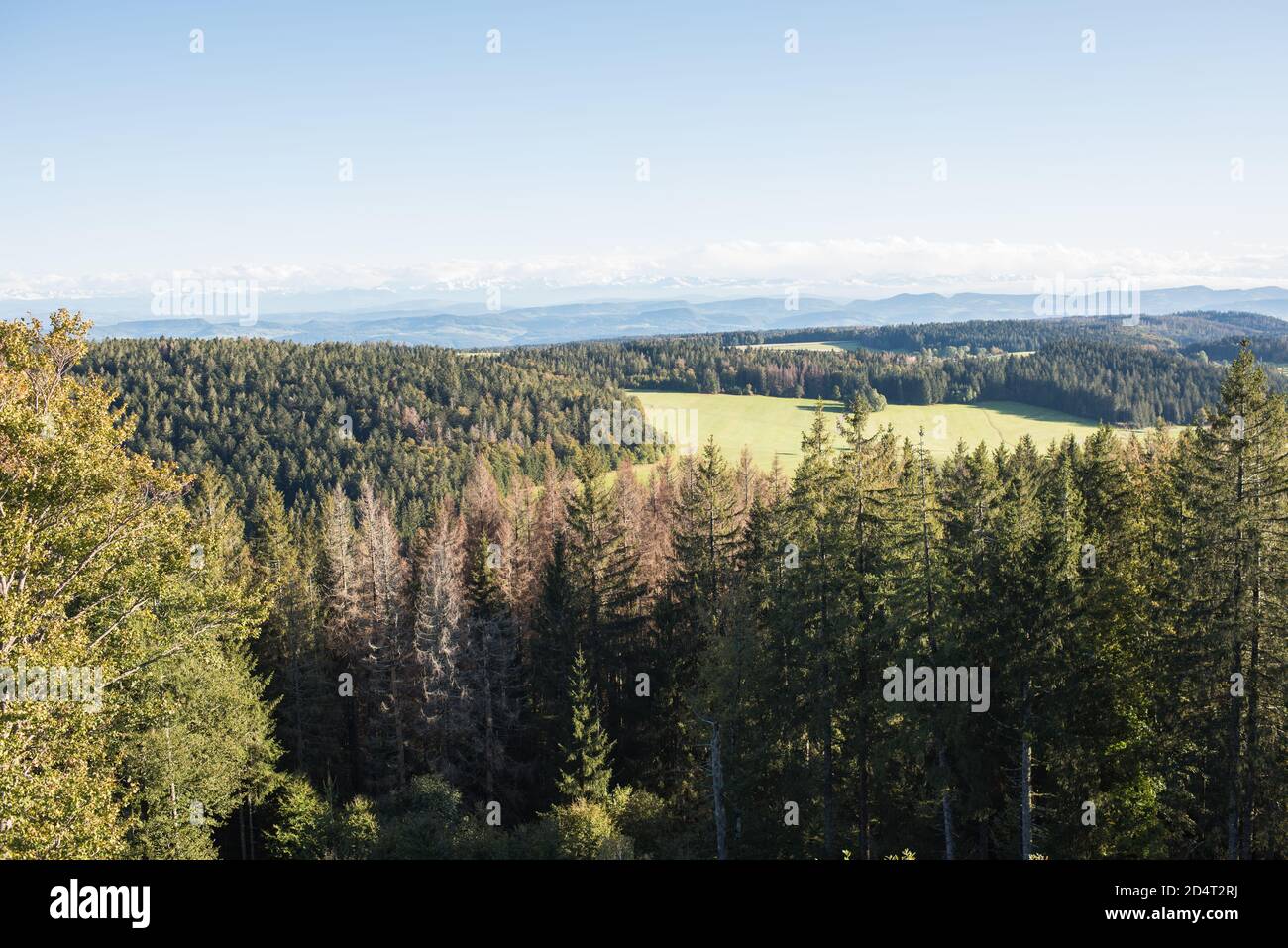 Blick vom Gugelturm im südlichen Schwarzwald bei Herrischried, in deutschland in die Landschaft. Stockfoto