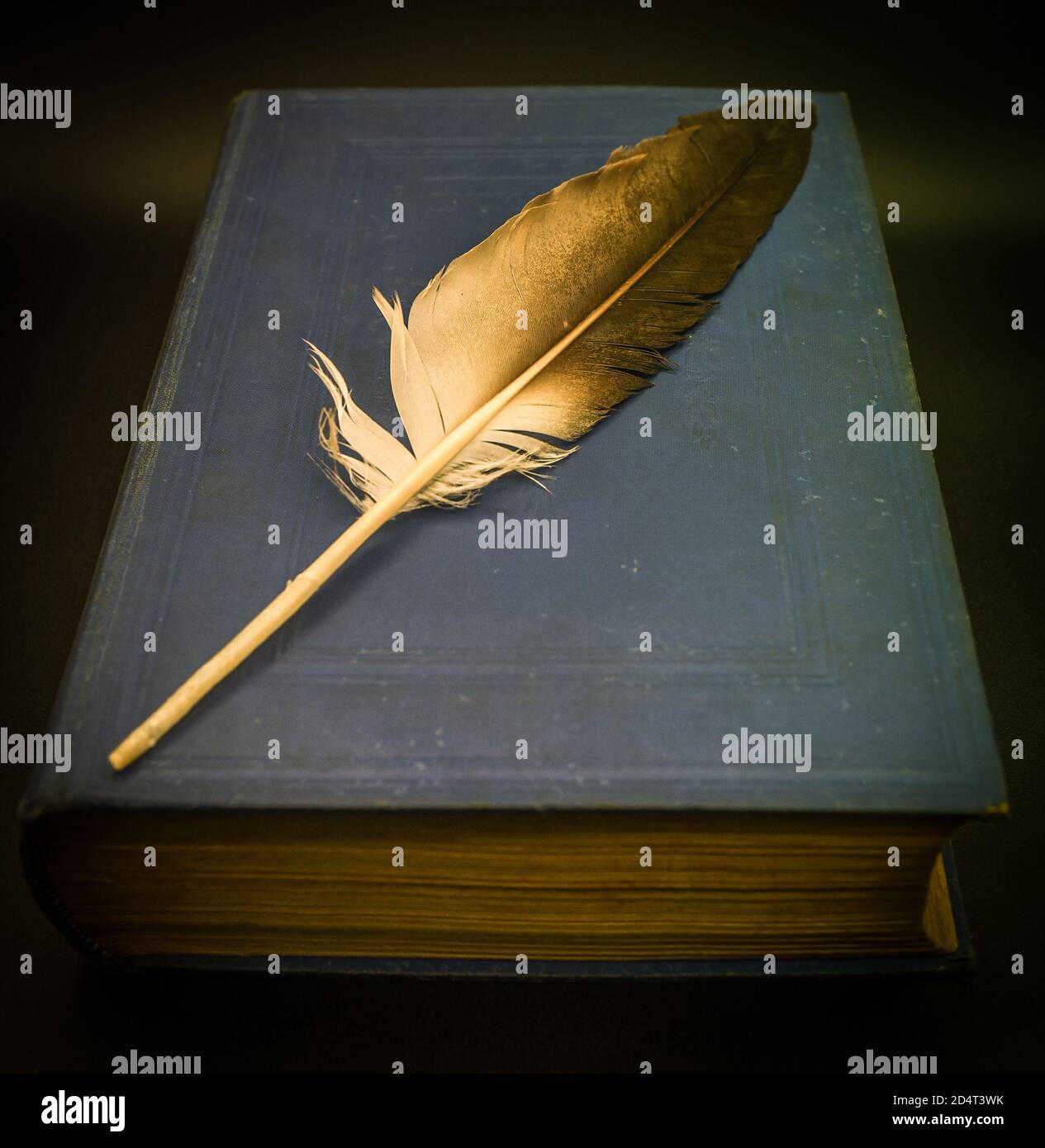 Feder Writer Short story writer -Fotos und -Bildmaterial in hoher Auflösung – Alamy