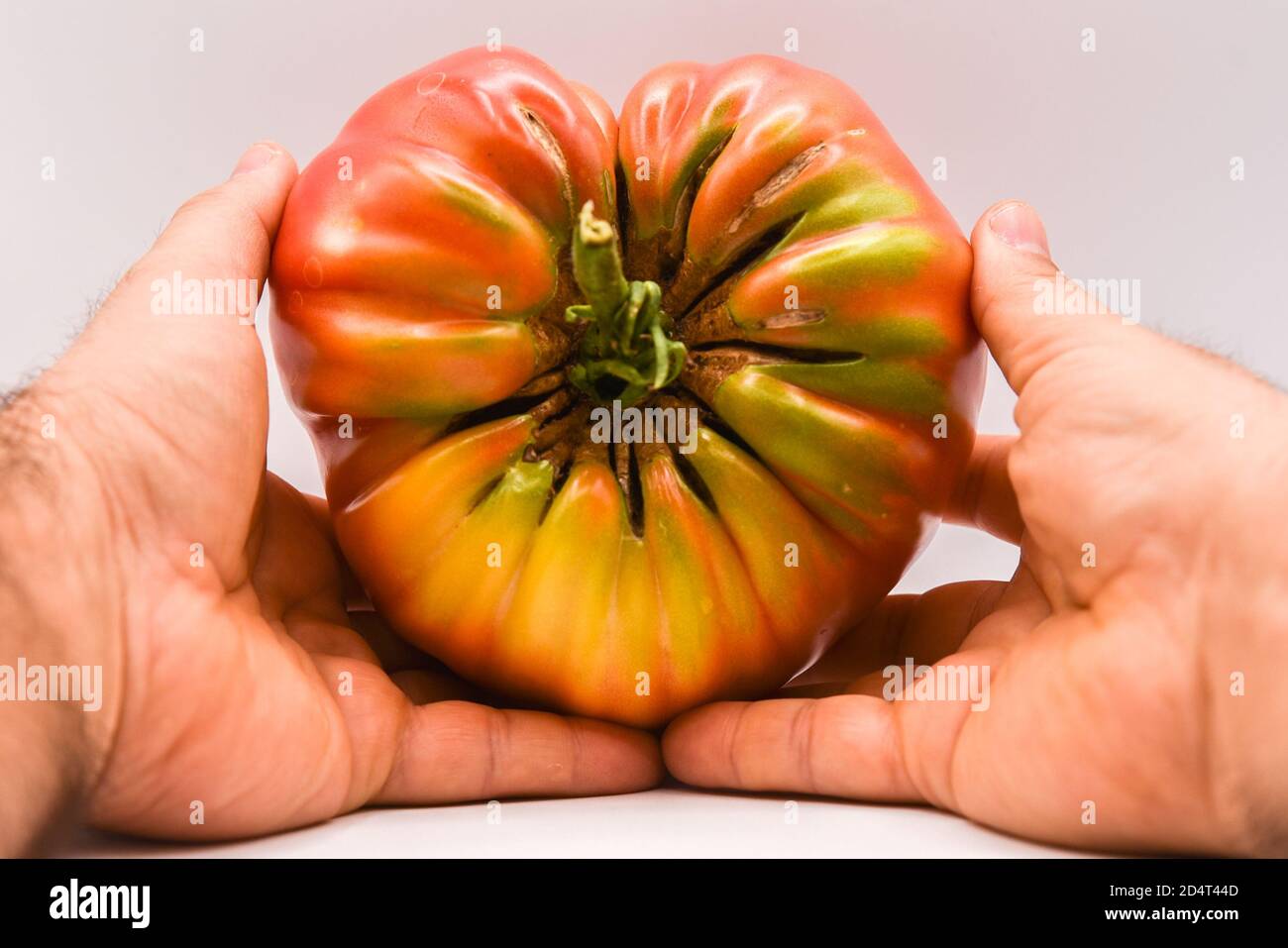 Große Tomate Stockfoto