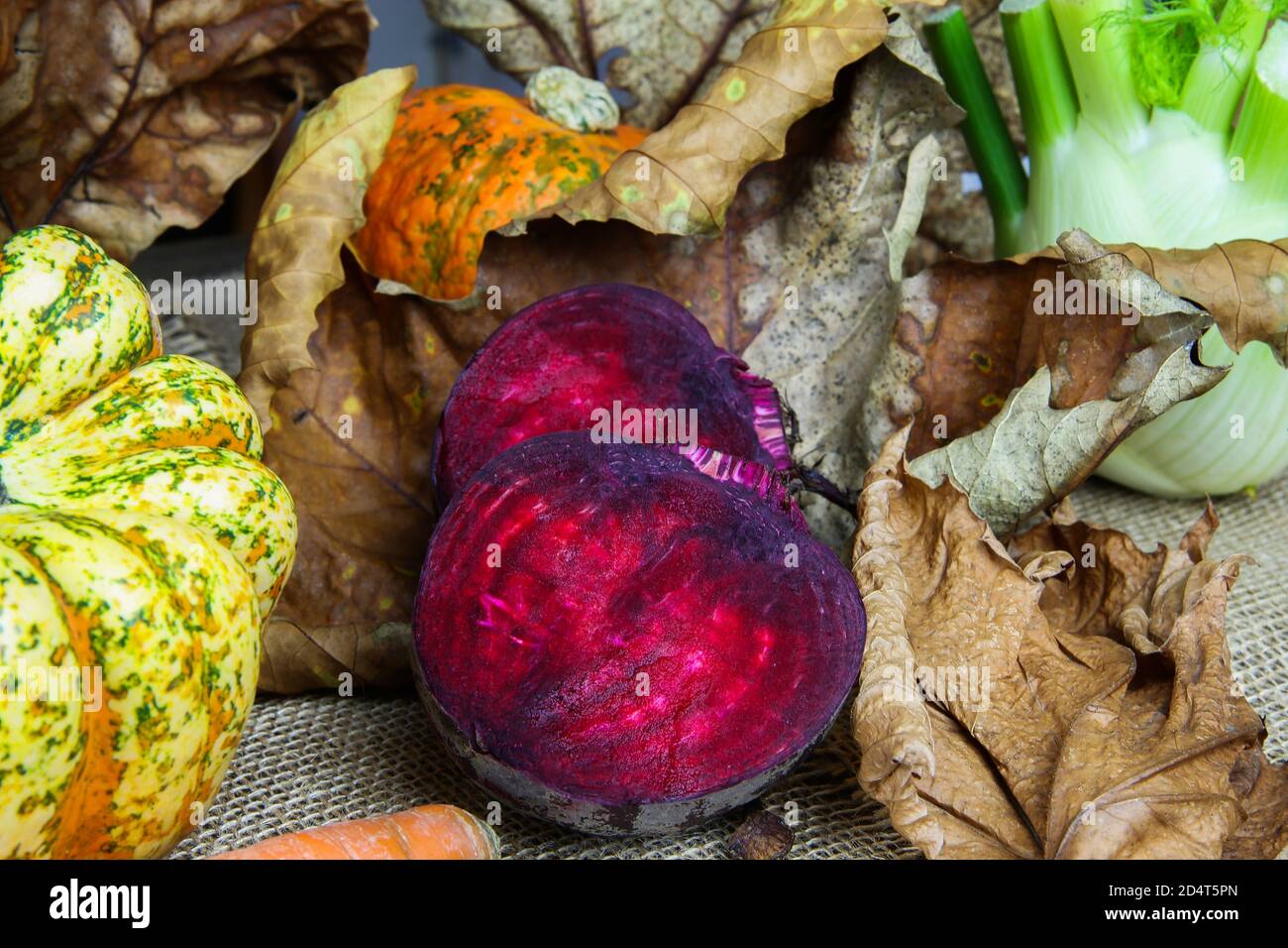 Nahaufnahme von Herbstwurzelgemüse für eine gesunde Ernährung in der kalten Jahreszeit mit Kürbissen, roter Rote Bete, Laub und Fenchelknolle Stockfoto