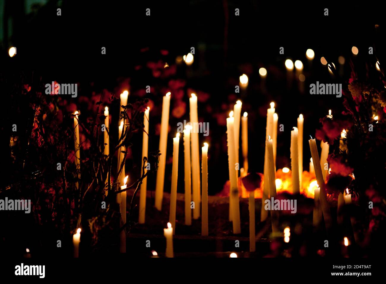 Tag der Toten - Kerzen unter Blumen im städtischen Pantheon Atzompa in Oaxaca, Mexiko Stockfoto