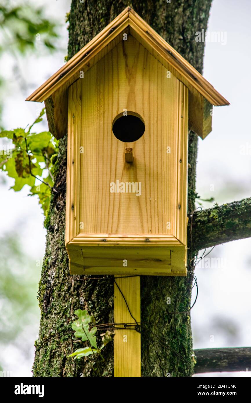 Konzept des Naturschutzes, handgefertigtes Vogelhaus für Vögel, die aus der Nähe an einem Baum hängen Stockfoto
