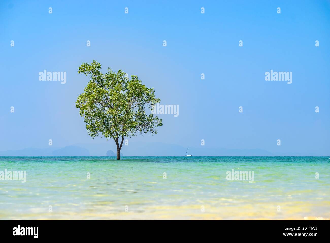 klong muang Strand in Krabi Thailand Stockfoto