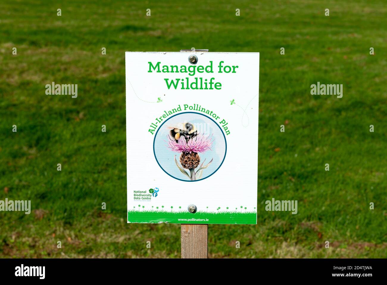 Alle Irland Pollinator Plan Schild für die Bedeutung der Hummeln für gesunde Tierwelt in Killarney Nationalpark, Grafschaft Kerry, Irland Stockfoto