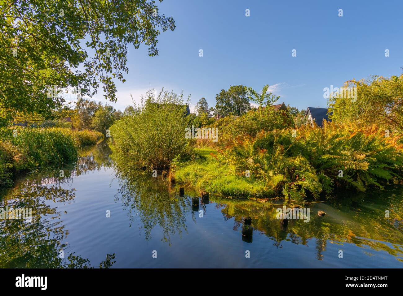 UNESCO-Biosphärenreservat Spreewald oder Spreewald, eine Bootstour ab Burg Gemeinde, Brandenburg, Ostdeutschland, Europa Stockfoto