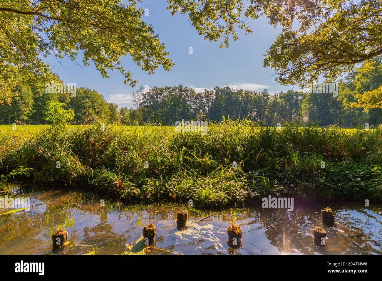 UNESCO-Biosphärenreservat Spreewald oder Spreewald, eine Bootstour ab Burg Gemeinde, Brandenburg, Ostdeutschland, Europa Stockfoto