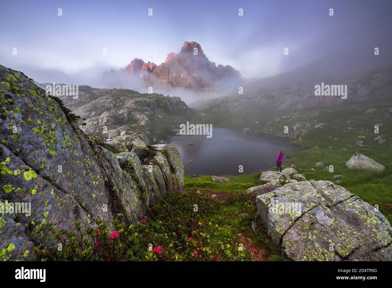 Frau beobachtet Cimon della Pala von Cavallazza im Nebel bei Sonnenuntergang, Parco Naturale Paneveggio Pale di San Martino, Lagorai Kette, Trient, Trentino A Stockfoto