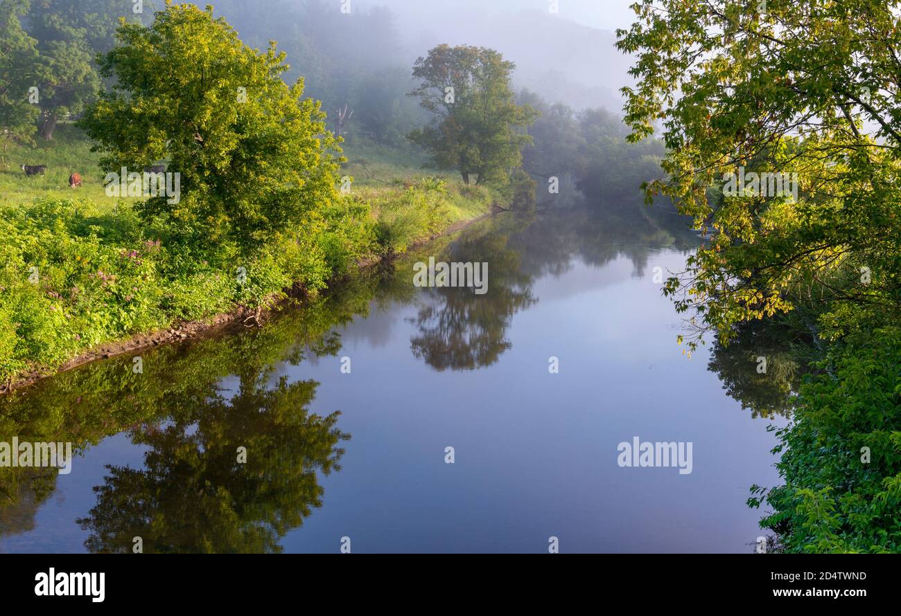 Bukolische Morgenszene eines nebligen Hügels mit Bergen im Hintergrund entlang der Ufer des Battenkill River in Sunderland, Vermont. Stockfoto