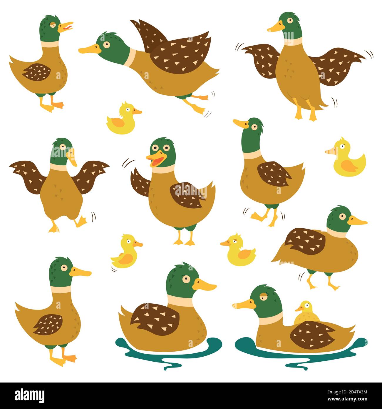 Eine Reihe von wilden Enten in verschiedenen Posen. Entenjagd.Vektor-Illustrationen auf weißem isolierten Hintergrund Stock Vektor