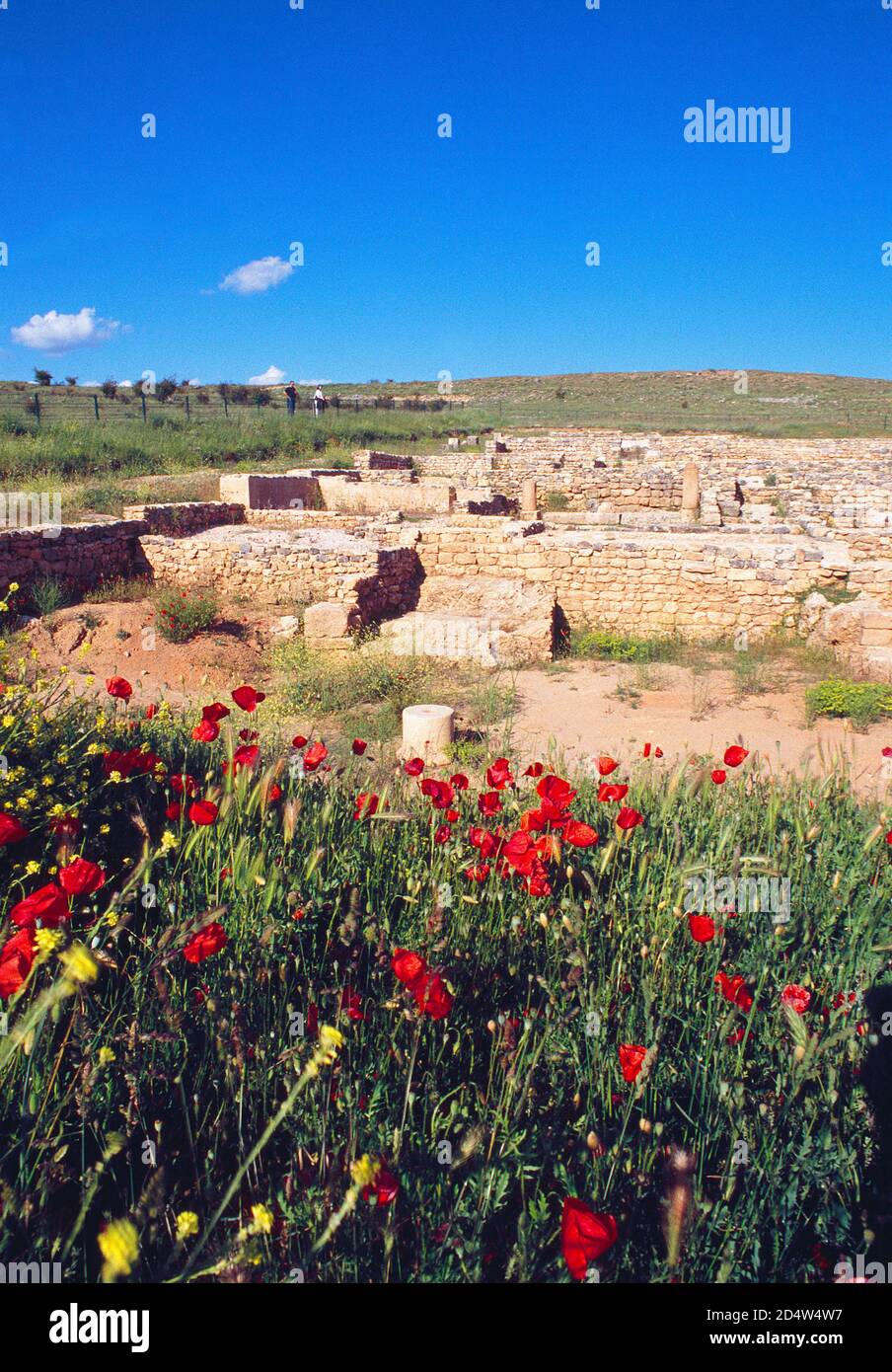 Uxama Ruinen. El Burgo de Osma, Provinz Soria, Castilla Leon, Spanien. Stockfoto