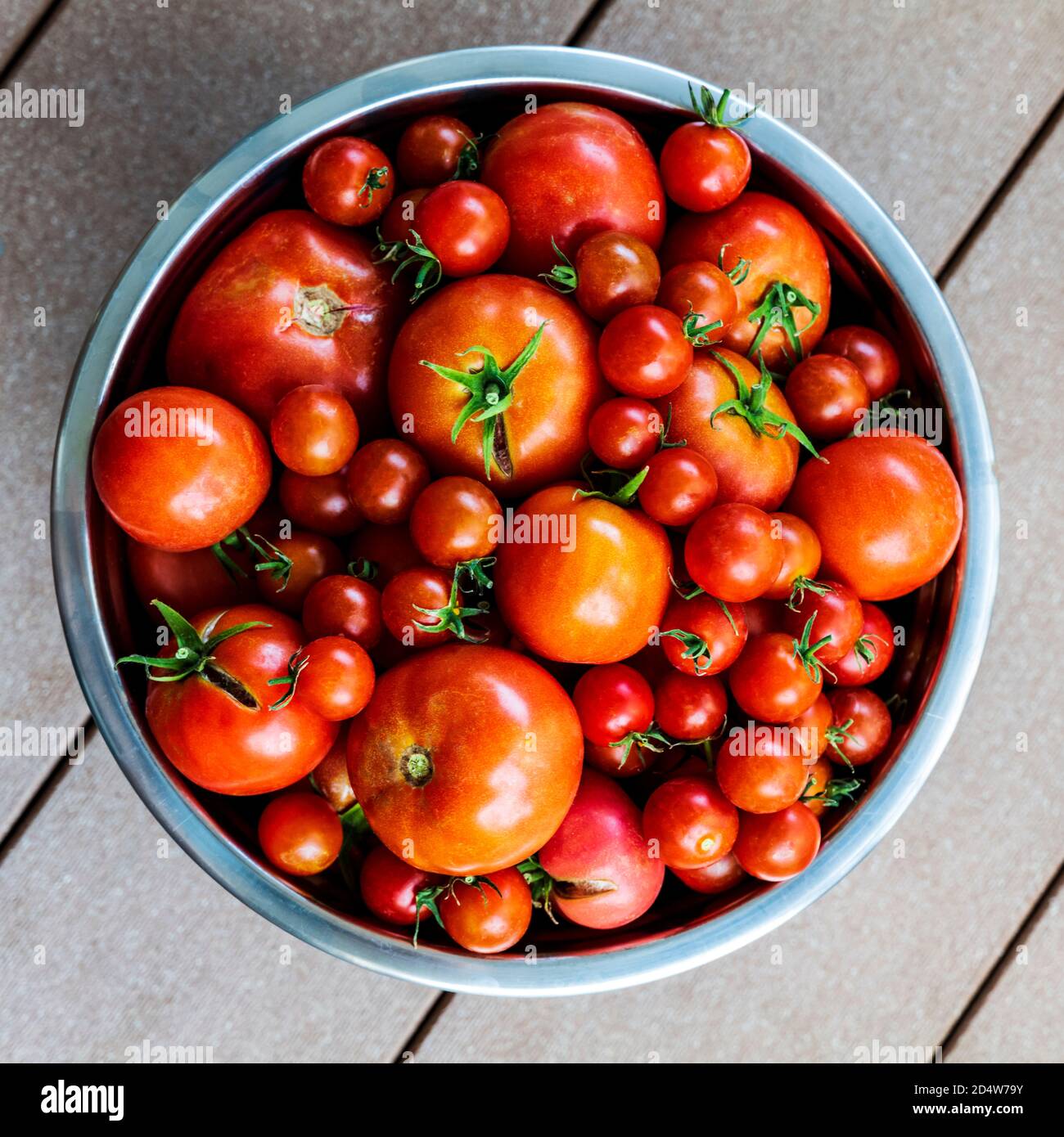 Frisch gepflückte Gartentomaten & Paprika; Salida; Colorado; USA Stockfoto