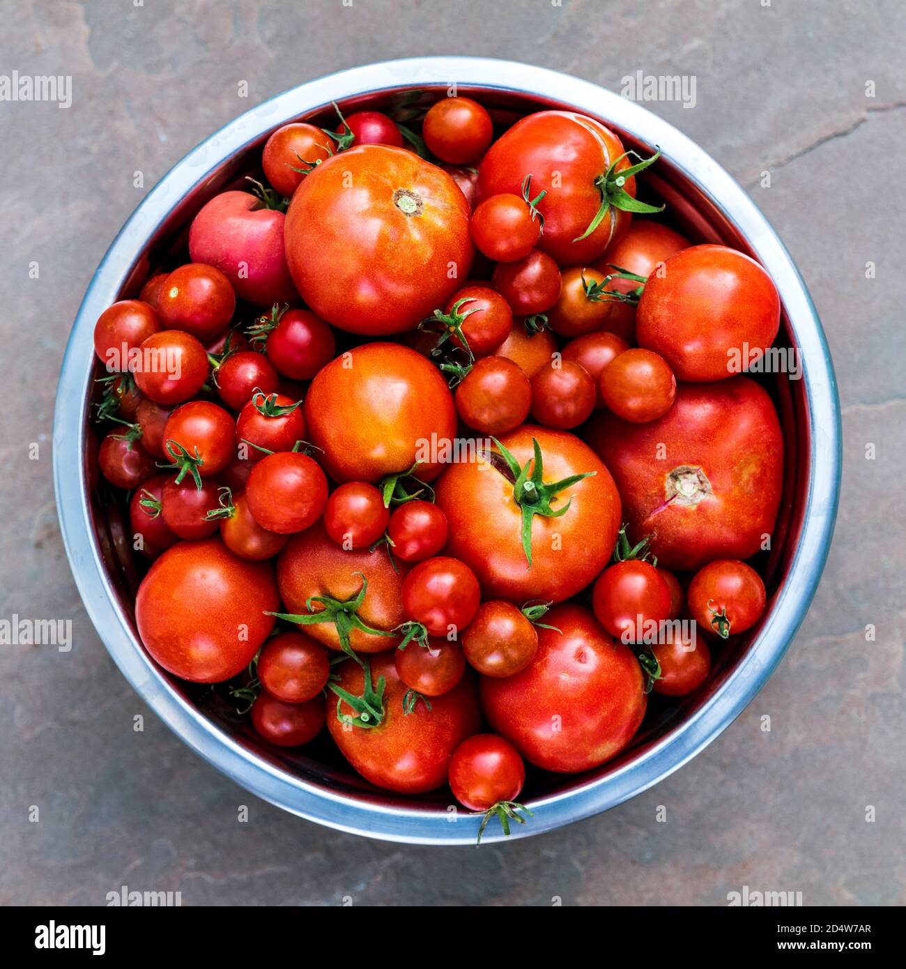 Frisch gepflückte Gartentomaten & Paprika; Salida; Colorado; USA Stockfoto