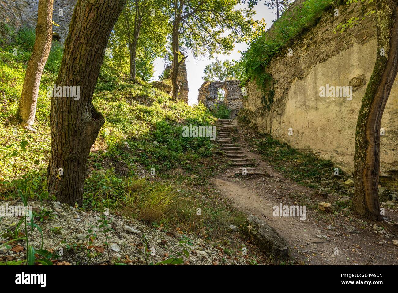 Dobra Voda Castle ist eine Ruine einer gotischen Burg Das Hotel liegt im zentralen Teil der Kleinen Karpaten oben Das Dorf Dobrá Voda in der Trnava Di Stockfoto