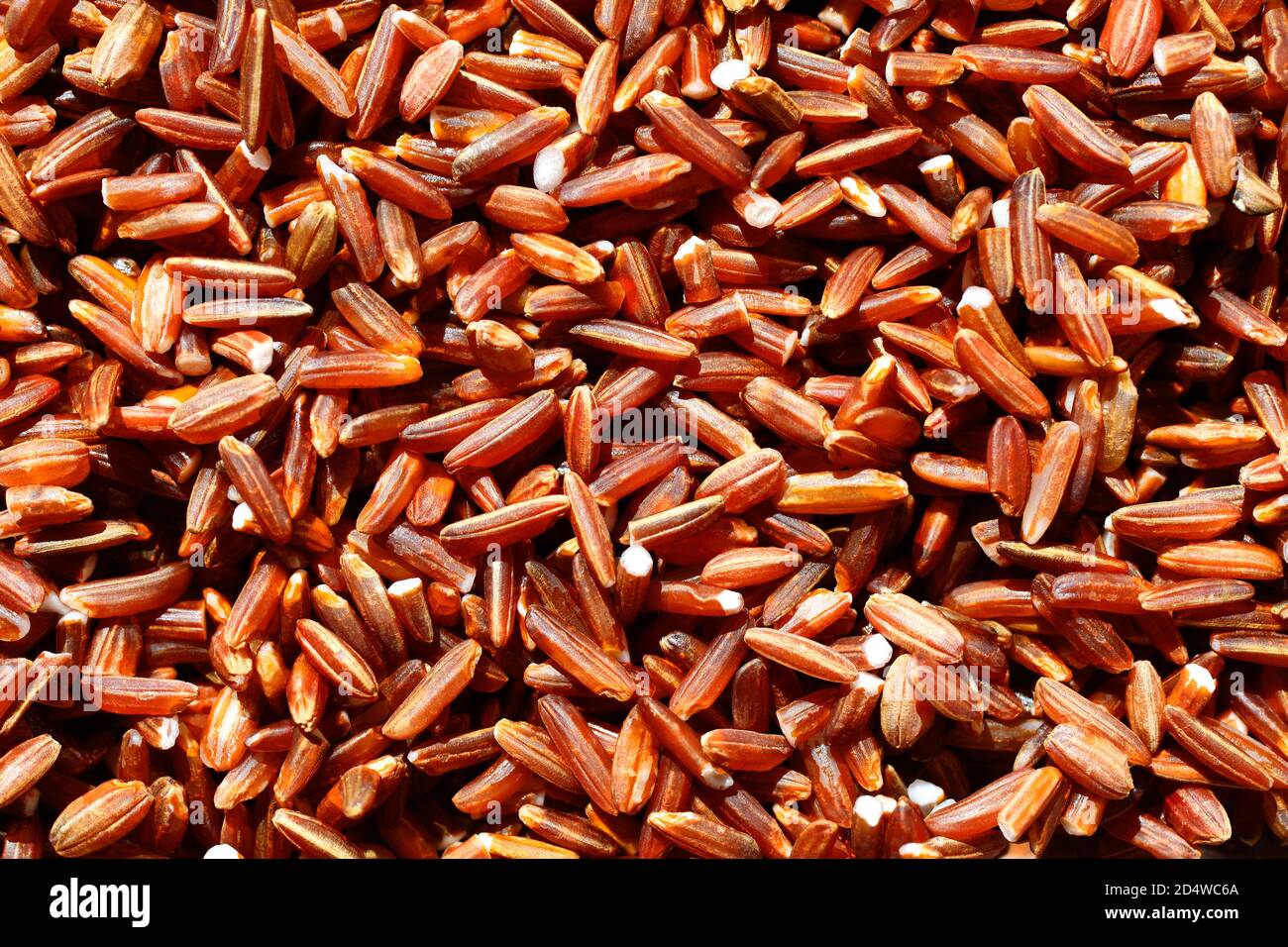 Nahaufnahme von rotem Reis für organischen Hintergrund Stockfoto